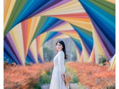 -合肥滨湖国家森林公园