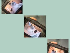 -泰国佛·塔罗·泰牌狐仙古曼