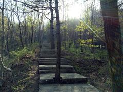 -洛阳白云山景区