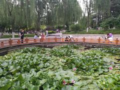 -金城公园