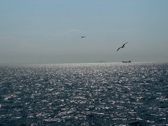 -海驴岛(荣成市)
