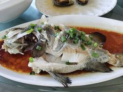 -七鲜渔港美食餐厅(巽寮湾海景店)