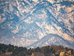 -万达广场(泰安泰山店)