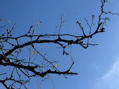 -青州市云门山风景区