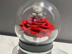 -ROSEONLY诺誓(青岛万象城店)