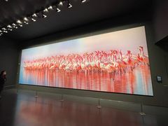 -罗红摄影艺术馆