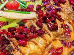 -老板恋上鱼(恒隆广场店)