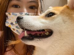 -逗柴咖啡屋·狗咖猫咖宠物桌游