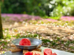 -白鹭湾湿地公园