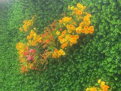 -福禄财东北菜(珠江帝景店)