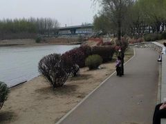 -丁香湖公园