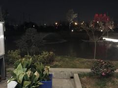 -大队长大灶鹅