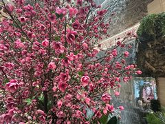 -赛格国际购物中心(小寨店)