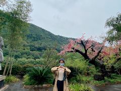 -汉中石门栈道风景区
