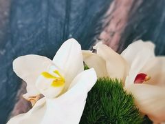 -悦厅·下午茶(杭州柏悦酒店)