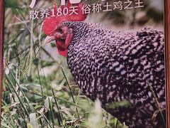-俭寨大盘鸡·缸子肉·小公鸡·新疆菜(云通店)