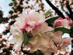 -元大都城垣遗址公园