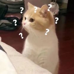 -MAGIC米几发型设计·羊毛卷