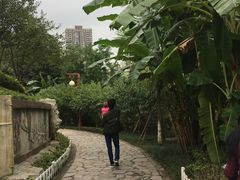 -重庆彩云湖湿地公园