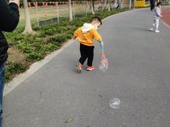 -上海长兴岛郊野公园