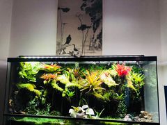 -锦色烤鸭·本地菜(学院路店)