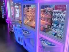 -PAWTOY爪e玩偶店(天兴罗斯福店)