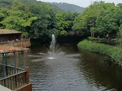 -丹樱生态园