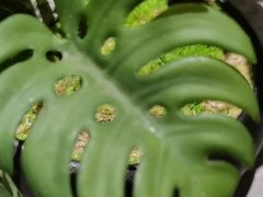 -百富源·海鲜辽菜(和平北大街店)