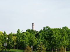 -北坞公园