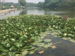 -前关湿地公园