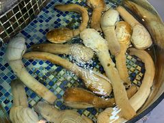 -三号码头罗氏虾小馆