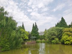 -上海滨江森林公园