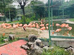 -石家庄市动物园