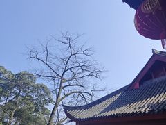 -青城山