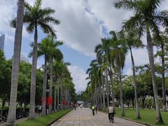 -厦门大学(思明校区)