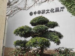 -中国茶叶博物馆(双峰馆区)