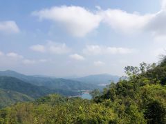 -田心森林公园