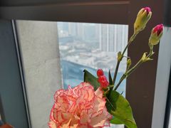 -Thai Basil罗勒叶泰式餐厅(时代天街店)