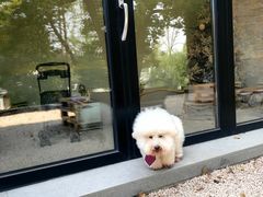 -J Create城市露营咖啡·简餐·宠物(上海动物园店)