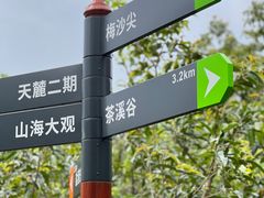 -梅沙尖