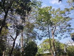 -清湖文化公园