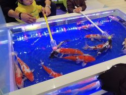 -meland亲子乐园•派对•研学(苏州悠方购物中心店)