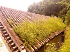 -北京鹫峰国家森林公园