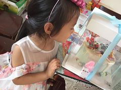 -Dark Horse·黑马蛋糕·低脂·低糖淡奶(金匙望湖大厦店)