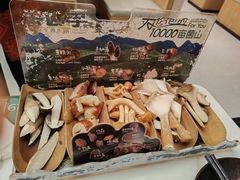 -芸山季·云南山珍菌火锅(南翔印象城MEGA店)