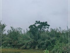 -象山森林公园