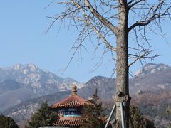 -泰山风景名胜区-虎山公园