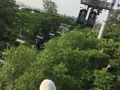 -圣淘沙天际线斜坡滑车