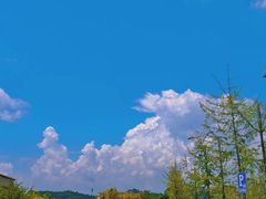 -千岛湖九龙溪漂流