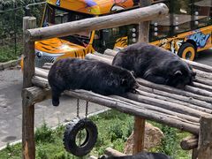 -大连森林动物园